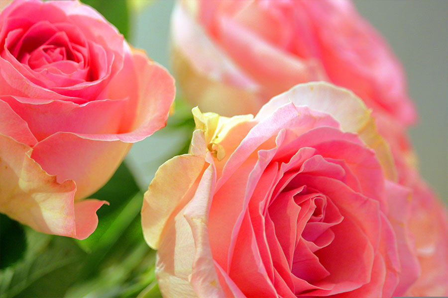 Hochzeitstag-Arrangement